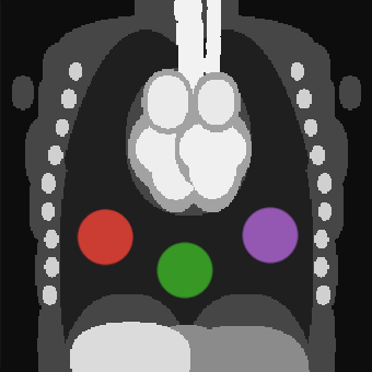 GeometricMedicalPhantoms.jl logo