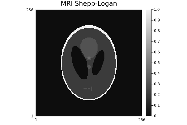 shepp_logan_mri.png