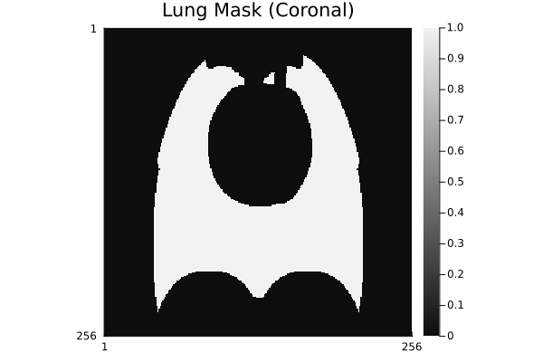 torso_lung_mask.png