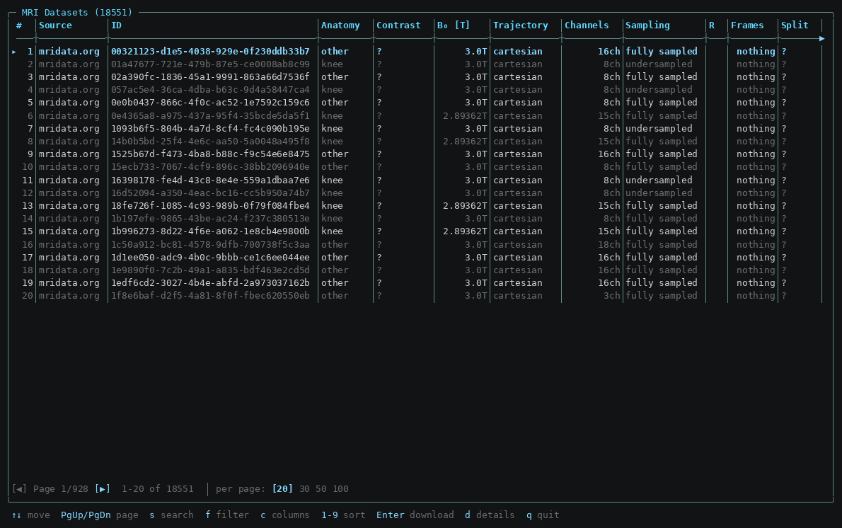The mridata-browser terminal UI — paging, the details pane, filters and the query language